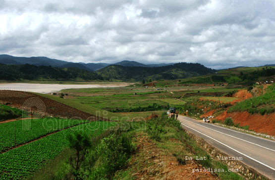 The countryside on the outskirt of Dalat 