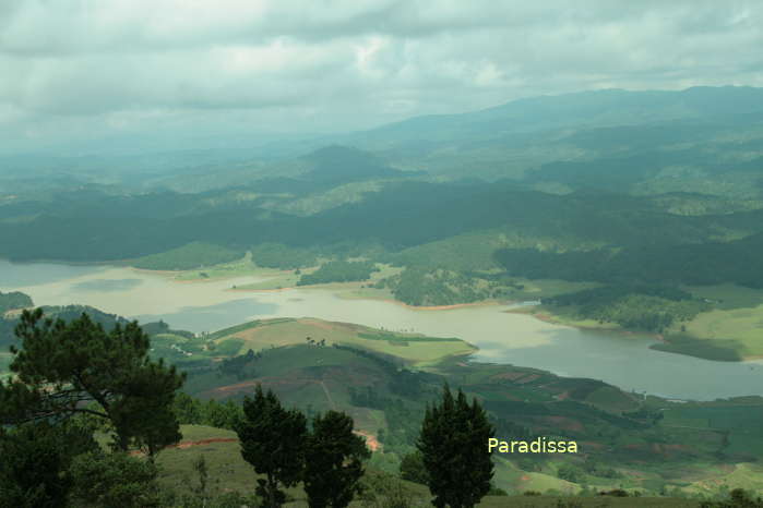 The Lang Biang Mountain is a great spot for birding in Da Lat, Lam Dong,  Vietnam