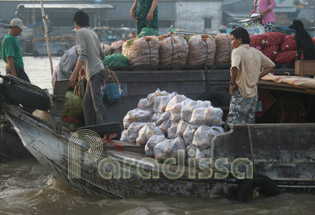 Cai Rang Floating Market