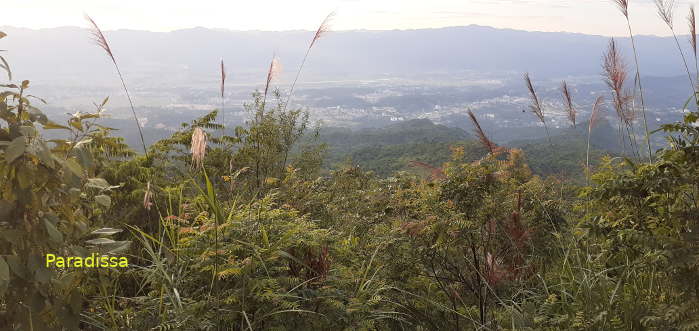 A view of Dien Bien Phu Airfield from a Howitzer Point