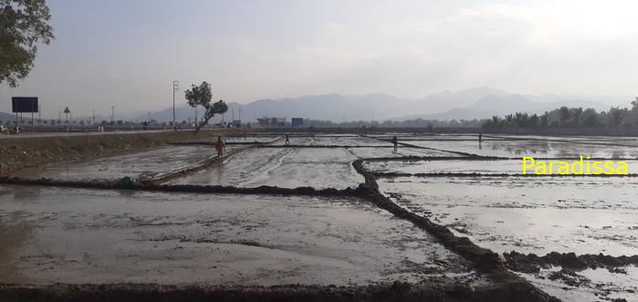 Trekking and hiking tour of the battlefield of Dien Bien Phu