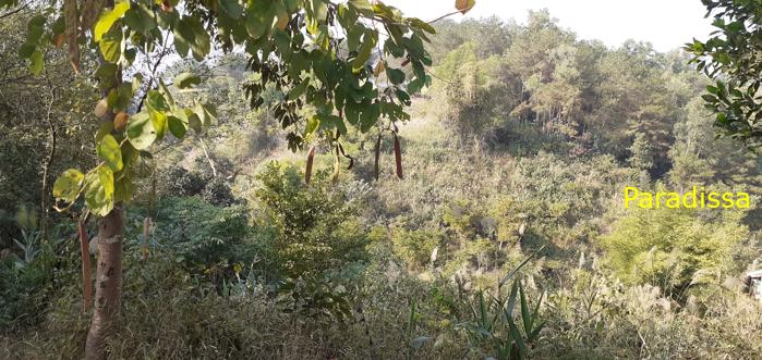 Trekking and hiking tour of the battlefield of Dien Bien Phu