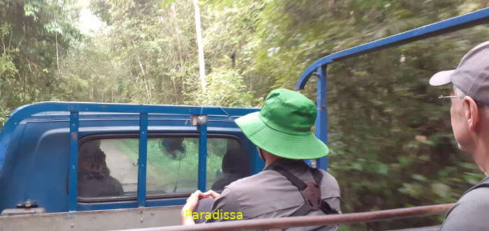 Bird watching at the Cat Tien National Park