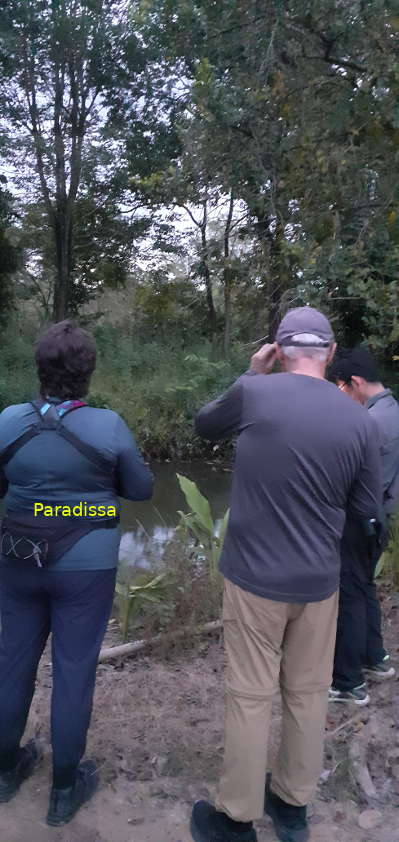 Looking for nocturnal species at the Cat Tien National Park