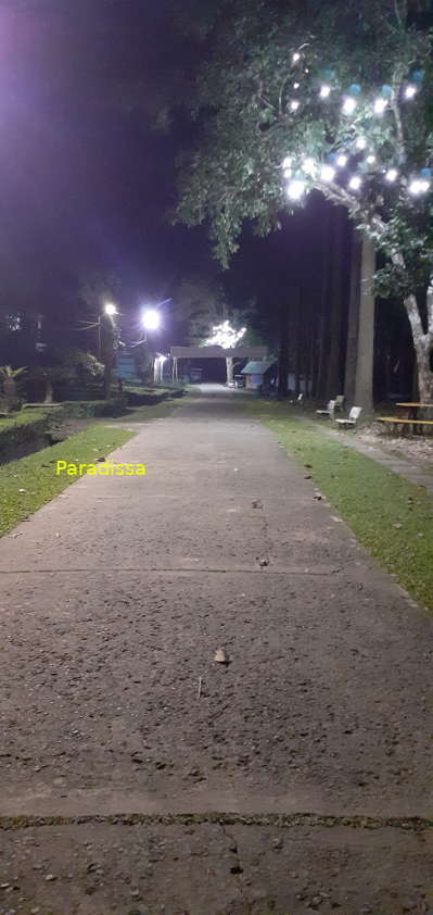 A birding path near the headquarters of Cat Tien National Park