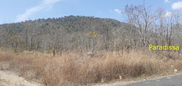 Tour the Battlefields in Gia Lai Vietnam Central Highlands