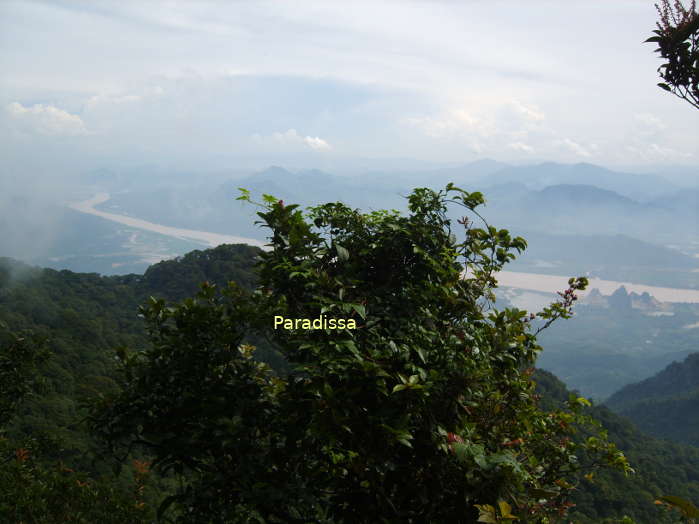 A great view from the top of the Ba Vi National Park