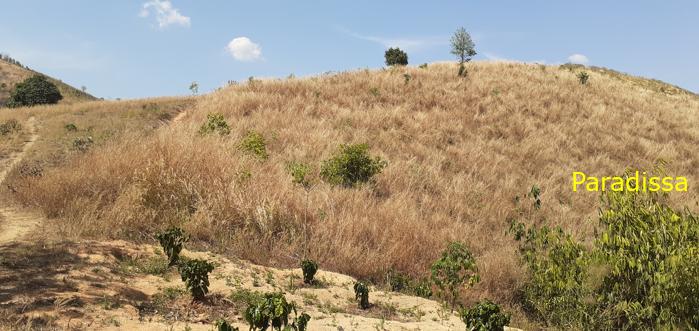 Tour the Battlefields in Kon Tum Vietnam Central Highlands