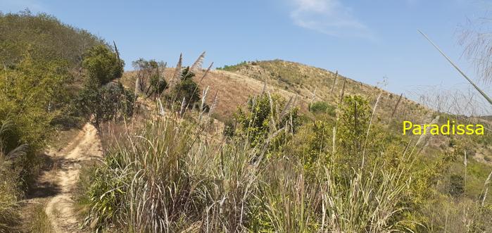 Tour the Battlefields in Kon Tum Vietnam Central Highlands