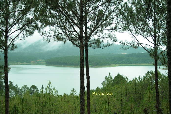 View from a birding trail at the Tuyen Lam Lake in Da Lat