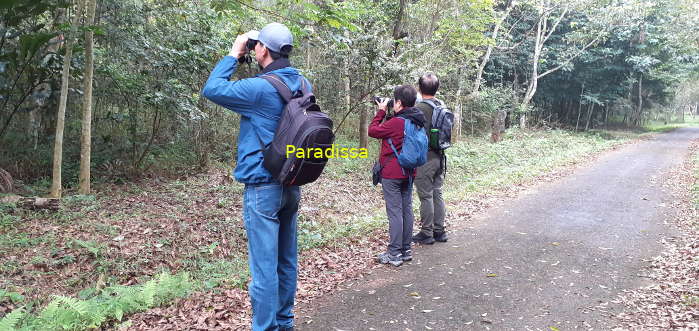 Birding at Cuc Phuong National Park Vietnam