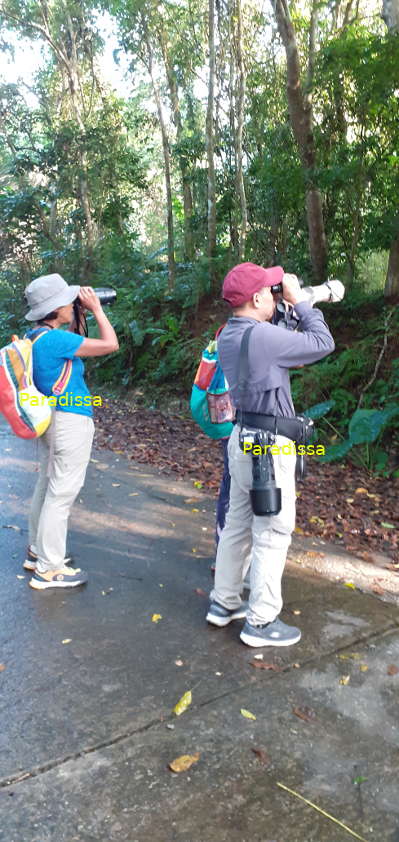 Looking for a novel bird species at the Cuc Phuong National Park