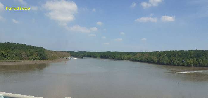 Can Gio Mangrove Forest in Saigon Ho Chi Minh City Vietnam