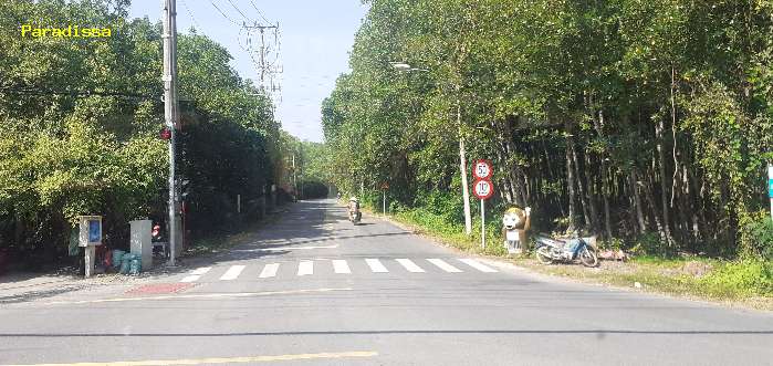 A beautiful road through mangrove forest at Can Gio, Saigon Ho Chi Minh City, Vietnam