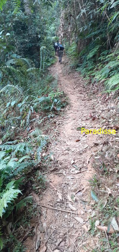 Trekking hiking tour in Pu Luong Vietnam