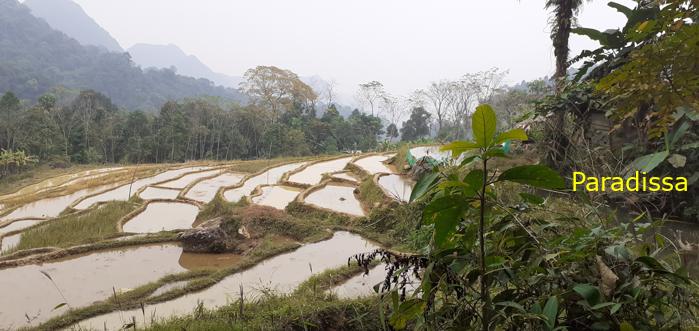 Trekking hiking tour in Pu Luong Vietnam