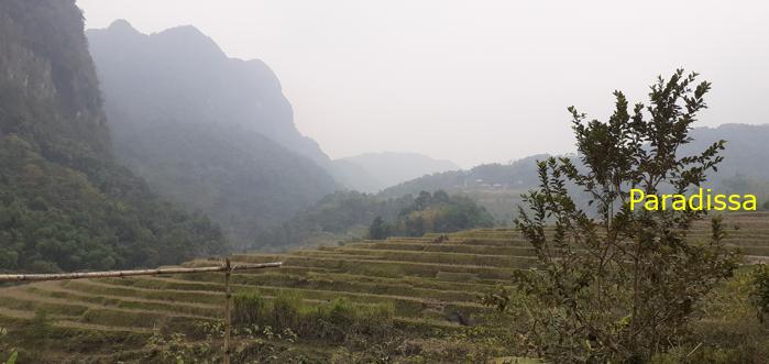 Trekking hiking tour in Pu Luong Vietnam