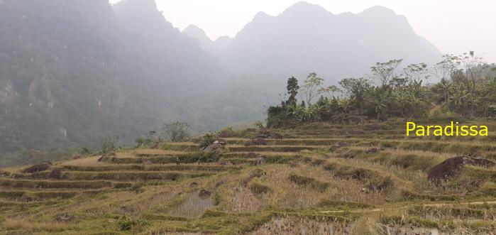 Trekking hiking tour in Pu Luong Vietnam