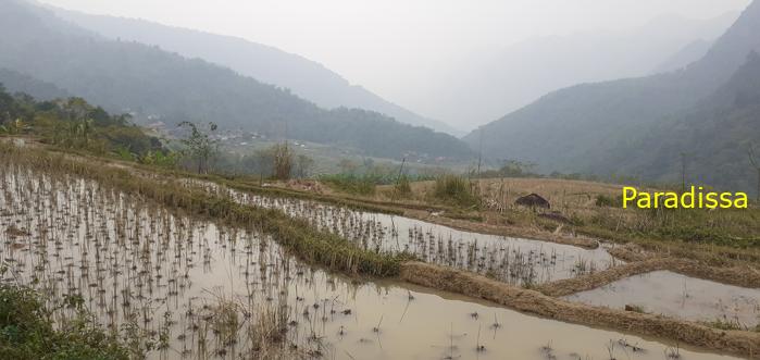 Trekking hiking tour in Pu Luong Vietnam