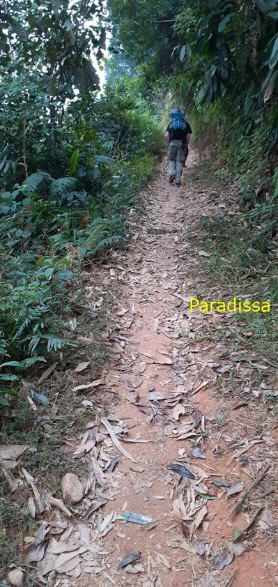 Trekking hiking tour in Pu Luong Vietnam