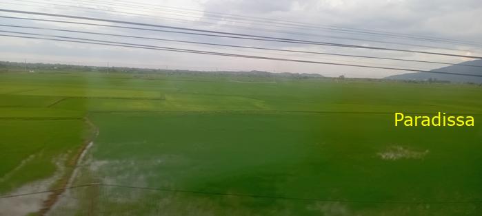 Vietnam Reunification Express Train Tour Vietnam Reunification Express Train Tour